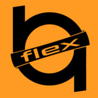 BG Flex-Abo Logo