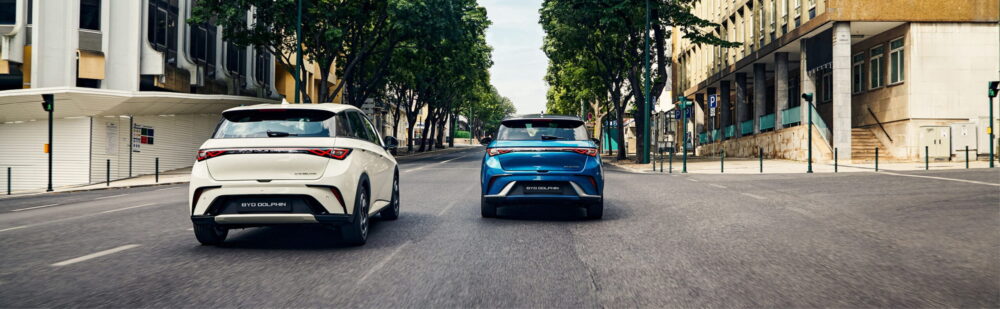 Byd Dolphin Blurb White Blue Banner Outdoor Desktop Min